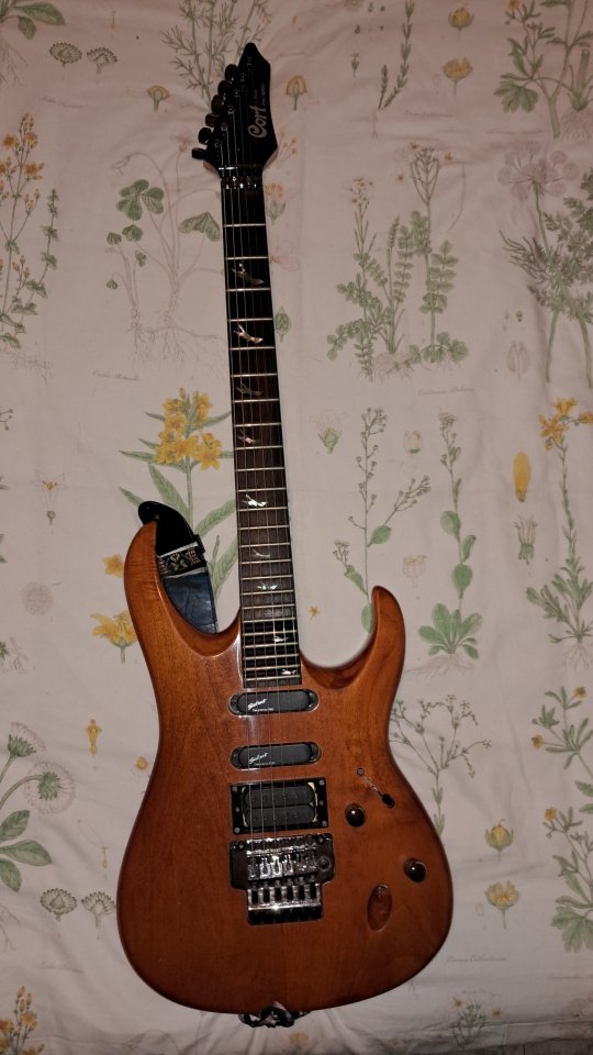 Guitarra Elecrica Cort Viva