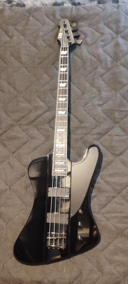 Bajo LTD Phoenix 1004