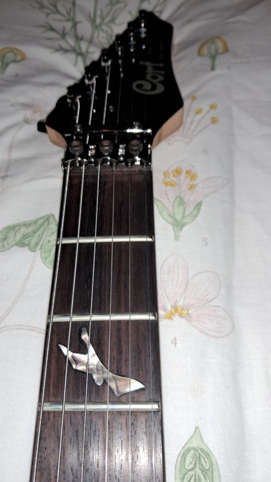 Guitarra Electrica Cort Viva
