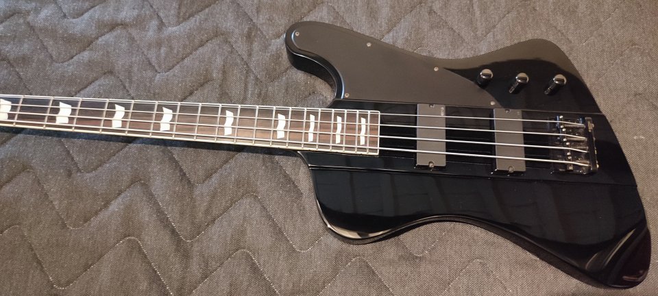 Bajo LTD Phoenix 1004