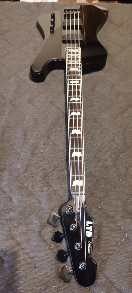 Bajo LTD Phoenix 1004