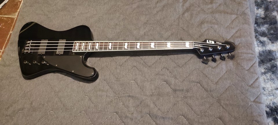 Bajo LTD Phoenix 1004