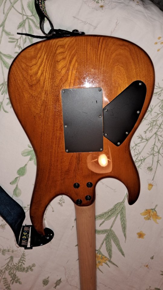 Guitarra Electrica Cort Viva