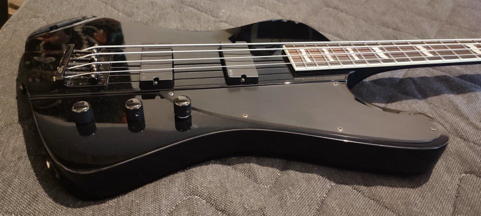 Bajo LTD Phoenix 1004