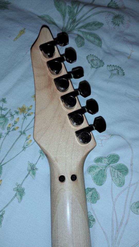 Guitarra Electrica Cort Viva