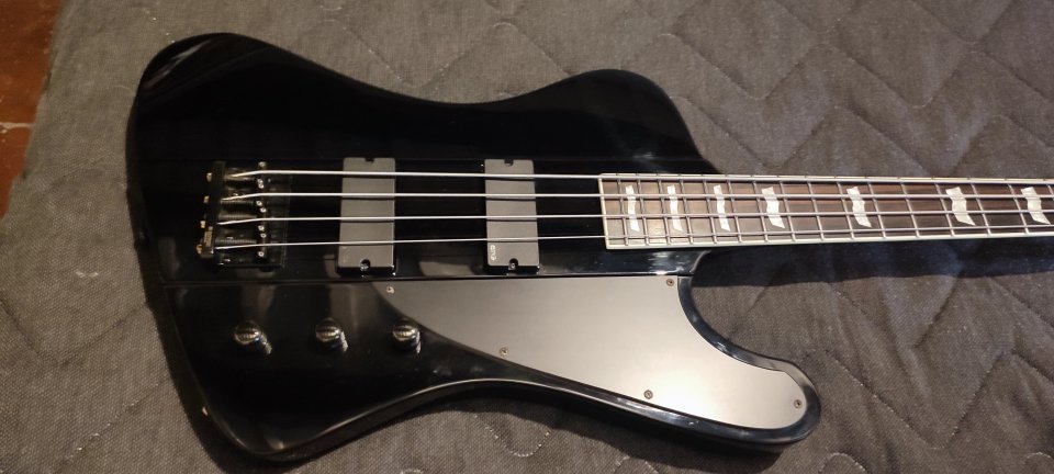 Bajo LTD Phoenix 1004