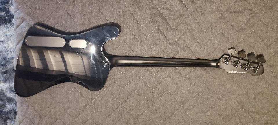 Bajo LTD Phoenix 1004