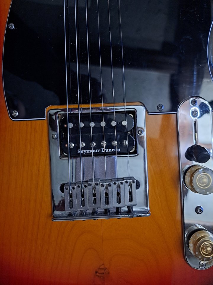 Pickguard Telecaster Goldo.