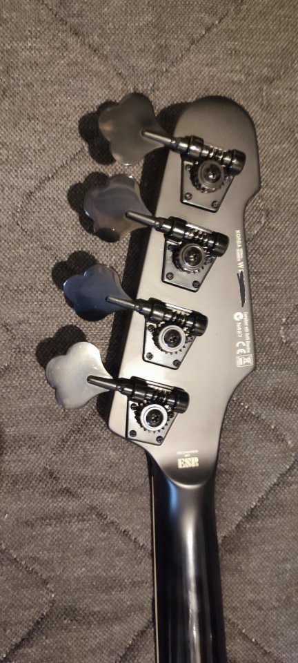 Bajo LTD Phoenix 1004