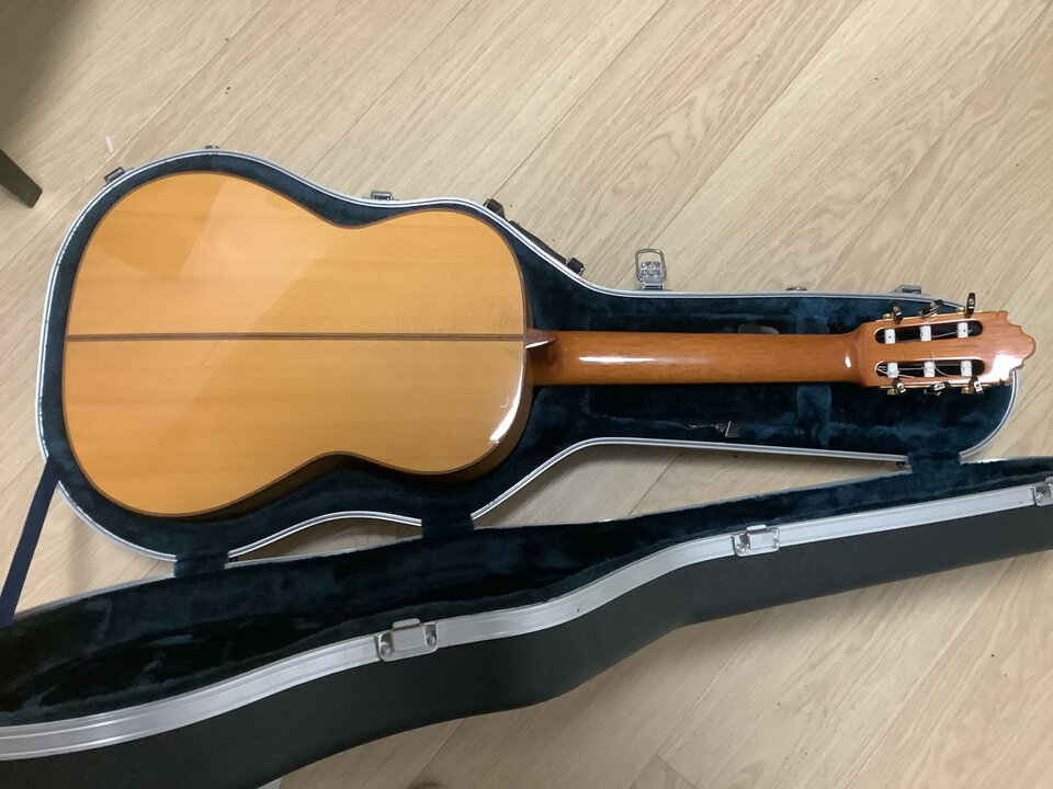 Vicente Carrillo, Pasión Blanca