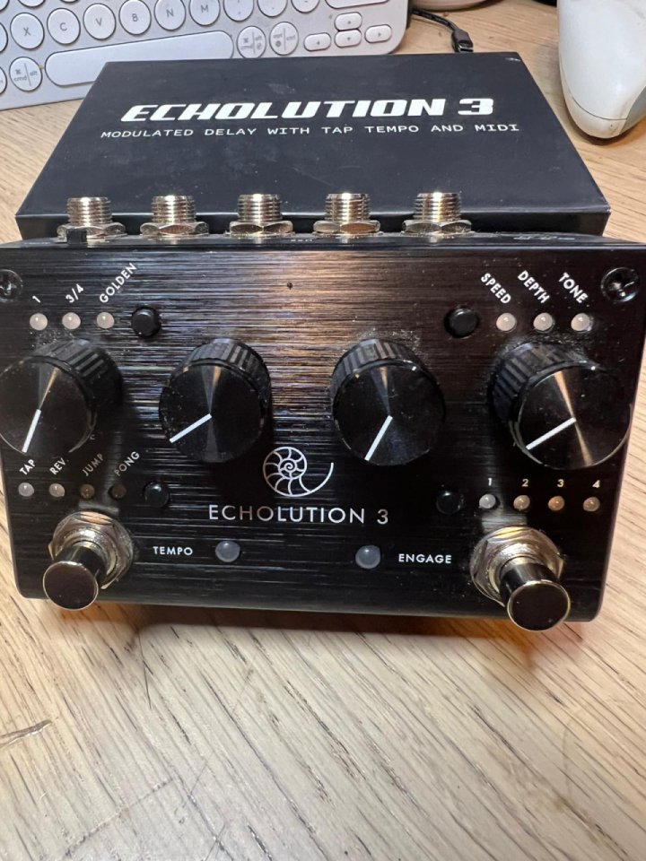 Pedal Delay Pigtronix Echolution 3 de segunda mano · Foto 1 de 2 · Madrid · 160 €