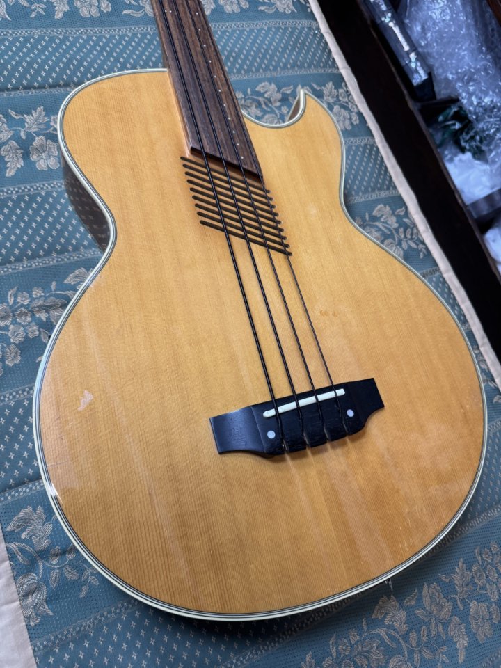 Washburn AB20 Bajo Acústico Fretless Electrificado