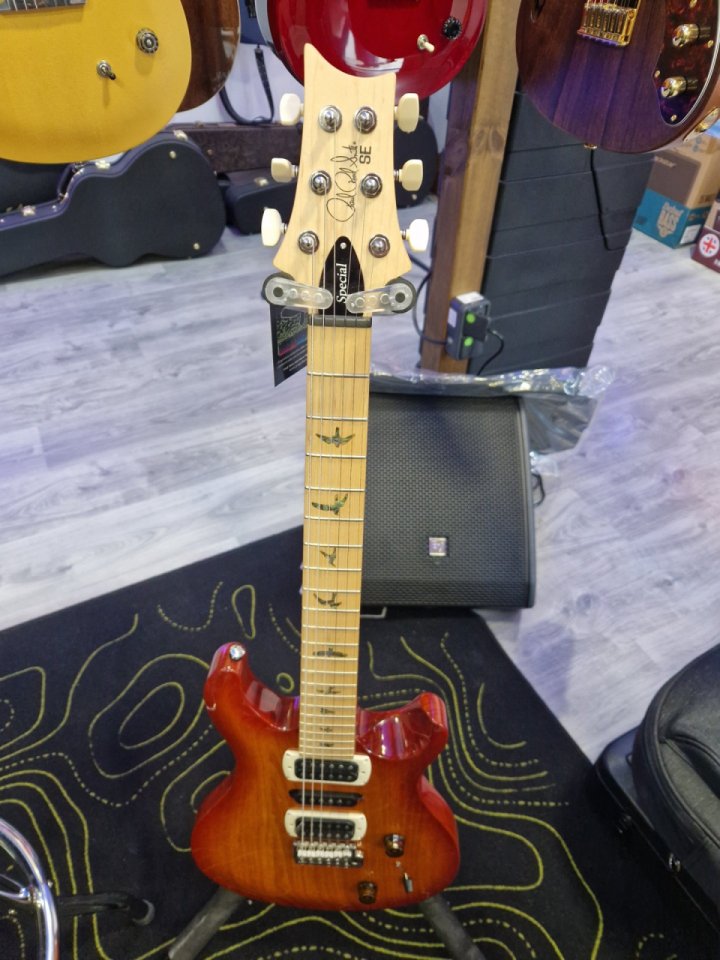 PRS se swamp ash special vs 2026