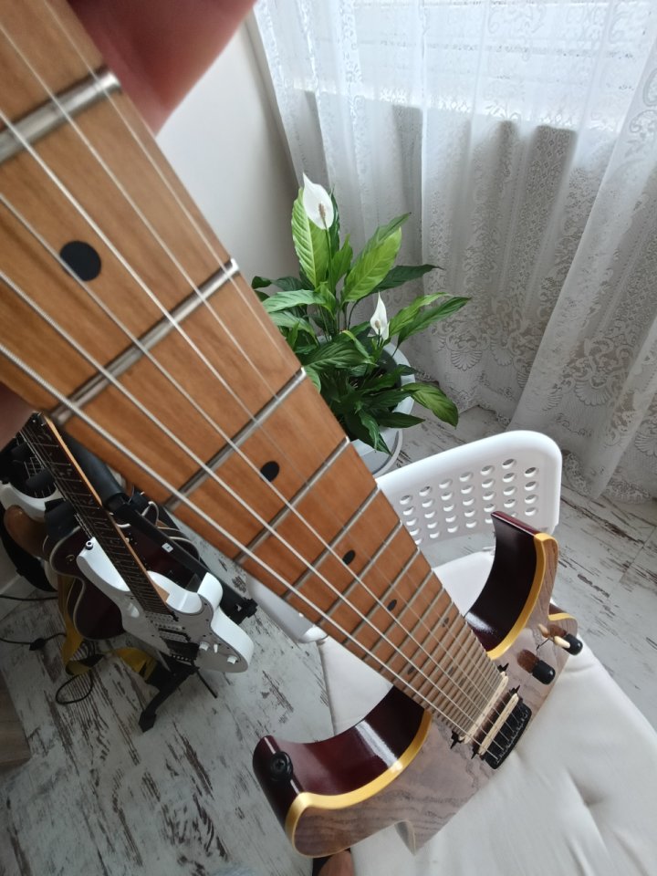 Ibanez RG421Hpam. de segunda mano · Foto 5 de 6 · A Coruña · 550 €
