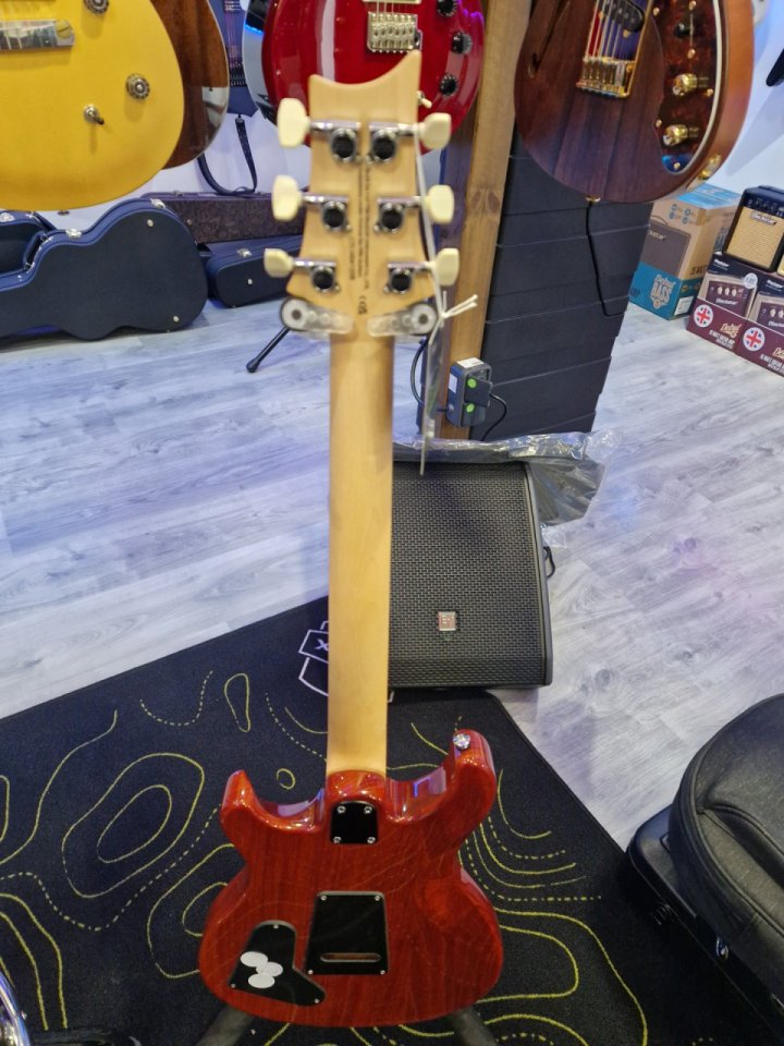 PRS se swamp ash special vs 2026