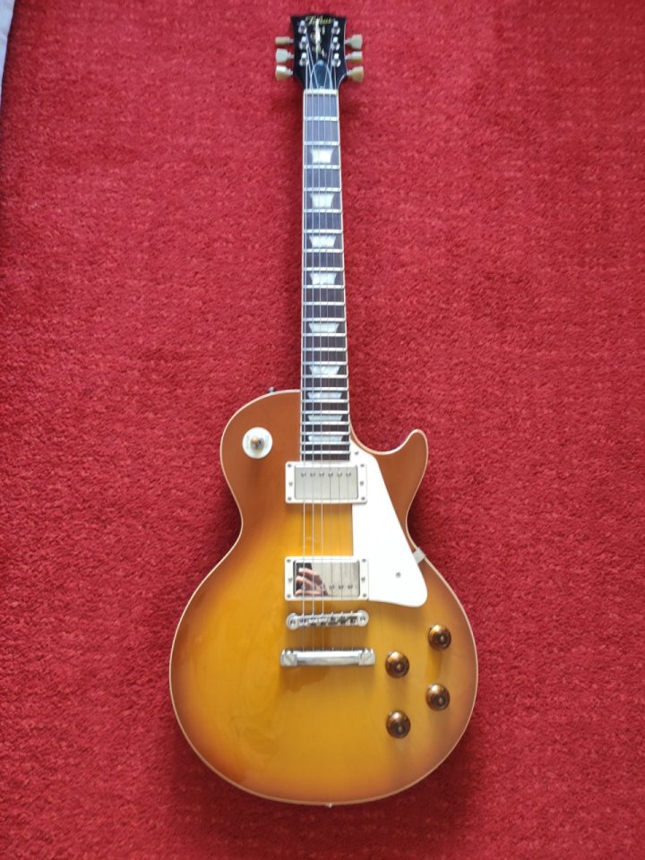 Tokai LS 186