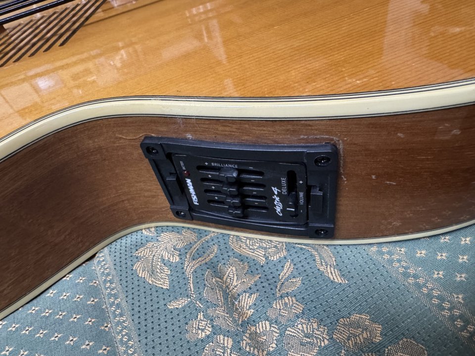 Washburn AB20 Bajo Acústico Fretless Electrificado