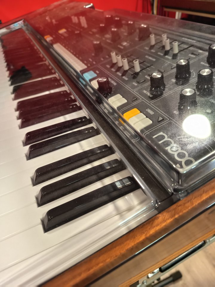Moog Muse con Decksaver de segunda mano · Foto 4 de 9 · Barcelona · 2190 €