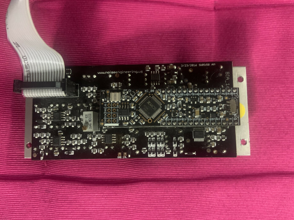 NE. Basimilus iteritas Alter