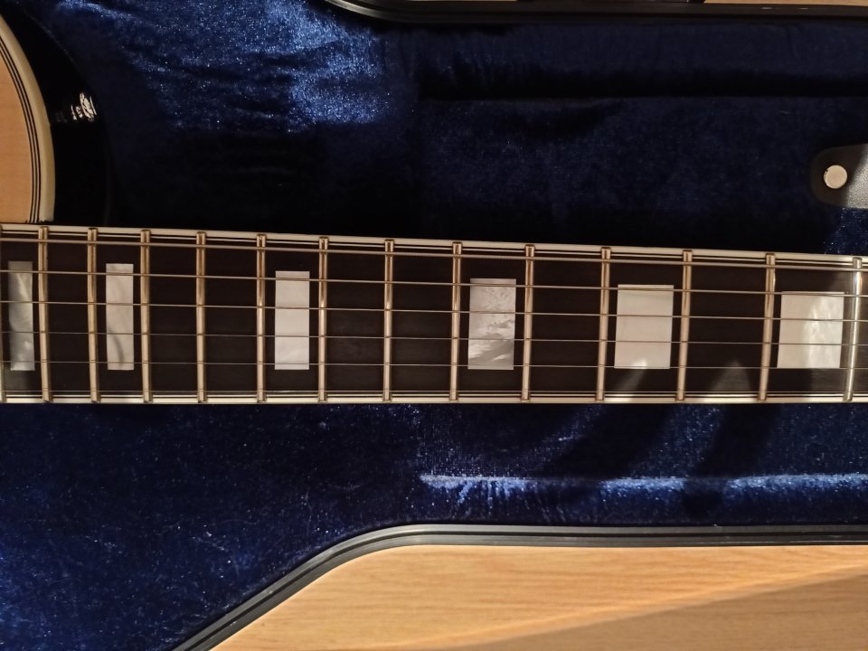 Schecter Solo II Custom