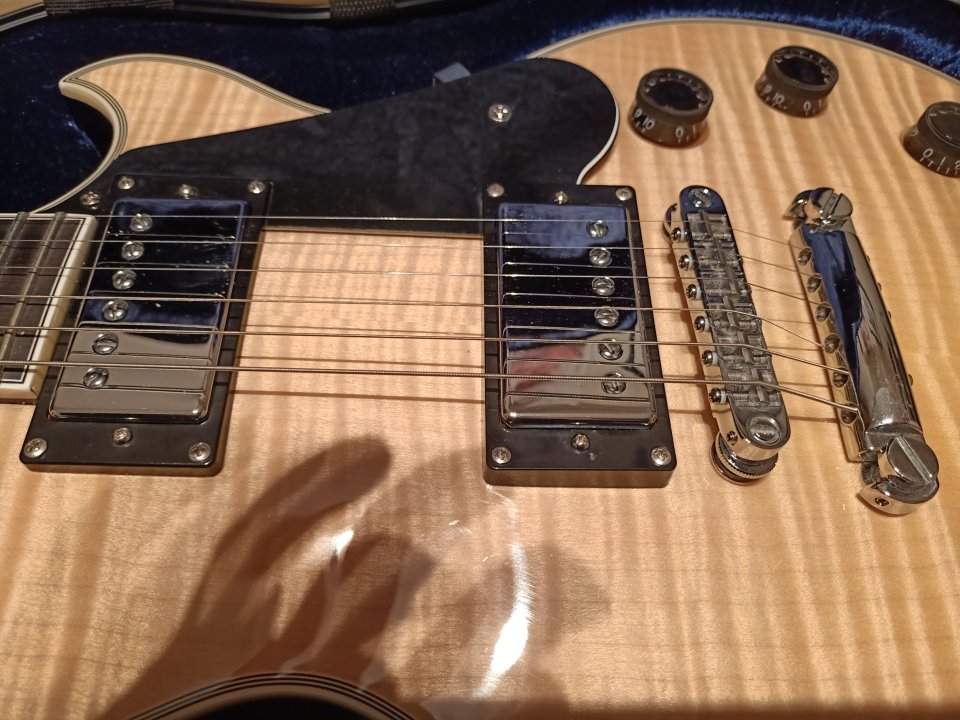 Schecter Solo II Custom