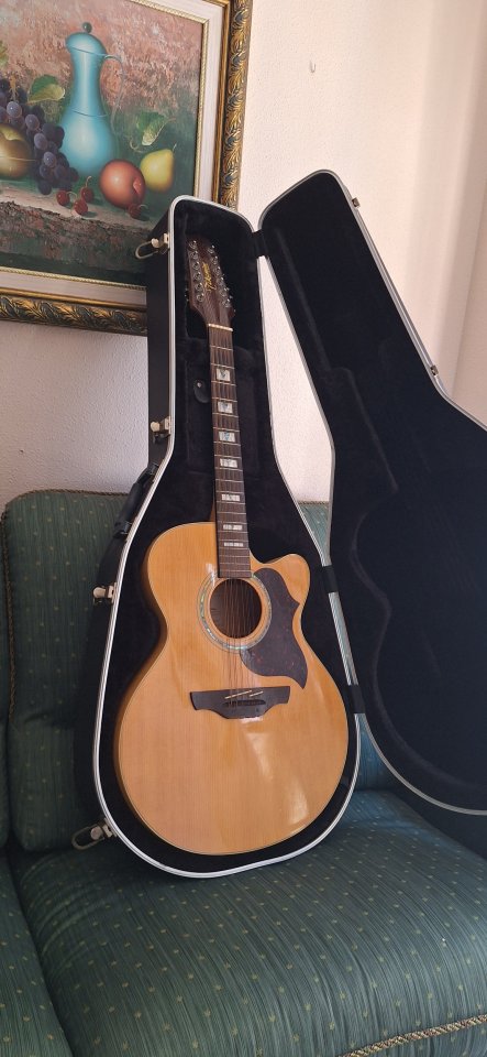 Takamine EG523SC-12 cuerdas Korea