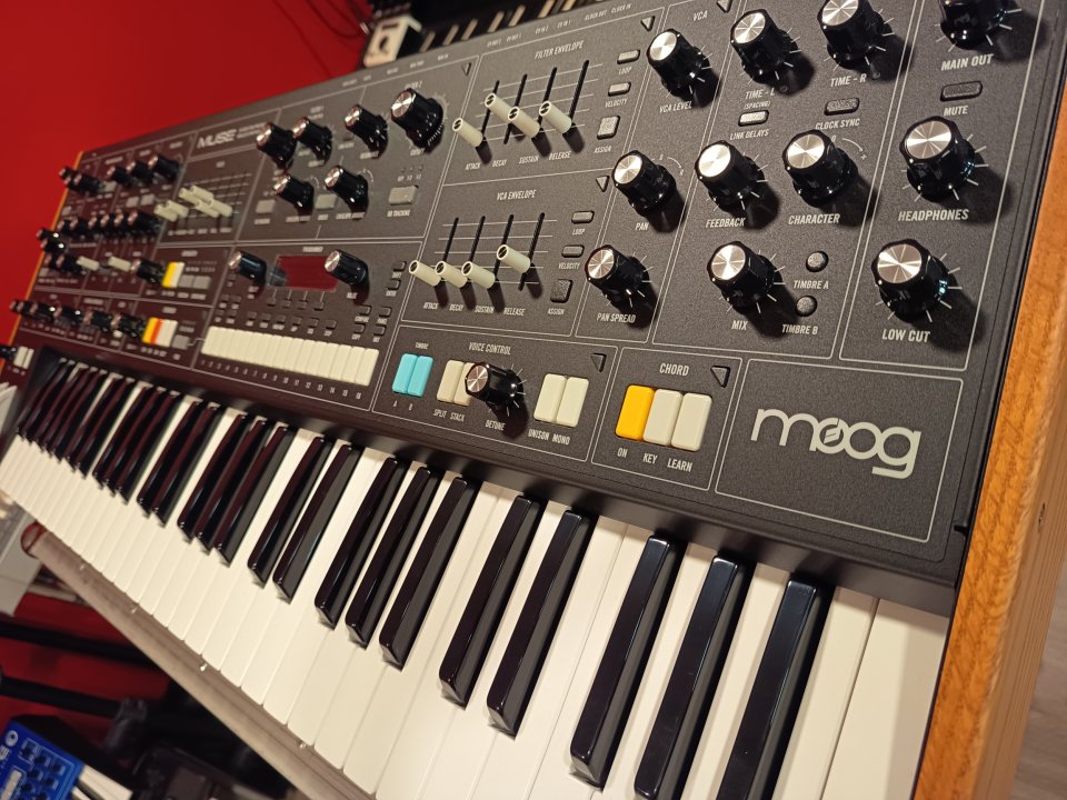 Moog Muse con Decksaver de segunda mano · Foto 9 de 9 · Barcelona · 2190 €