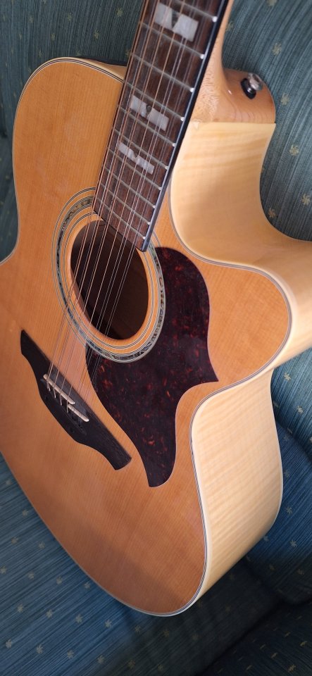 Takamine EG523SC-12 cuerdas Korea