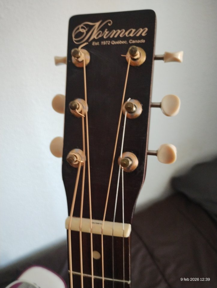 guitarra Parlor Norman B18