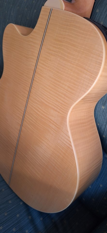 Takamine EG523SC-12 cuerdas Korea