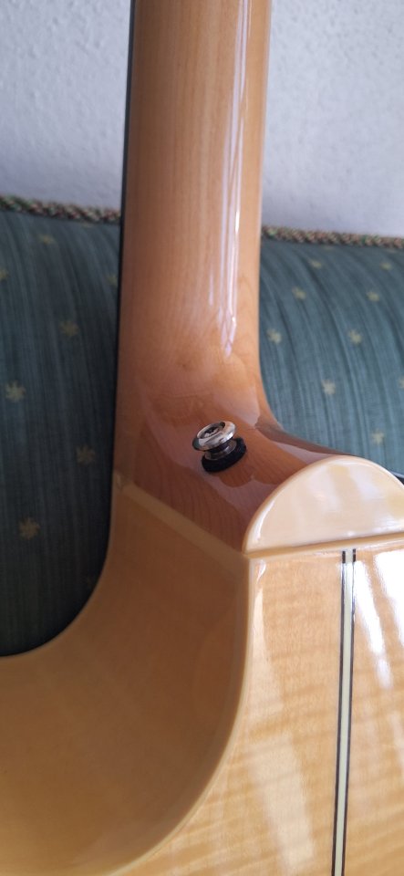 Takamine EG523SC-12 cuerdas Korea