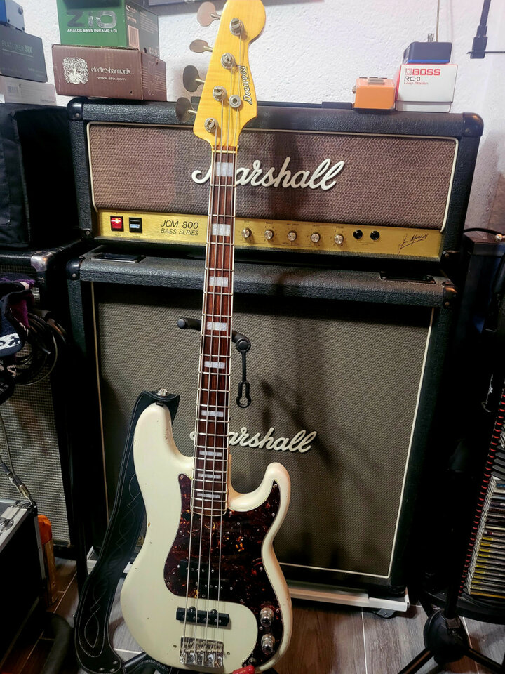 Bajo de alta gama italiano Docuood