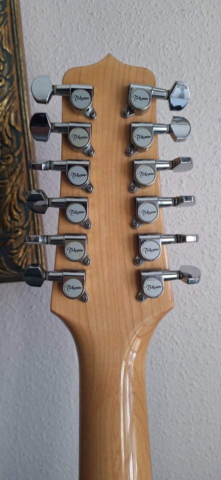 Takamine EG523SC-12 cuerdas Korea