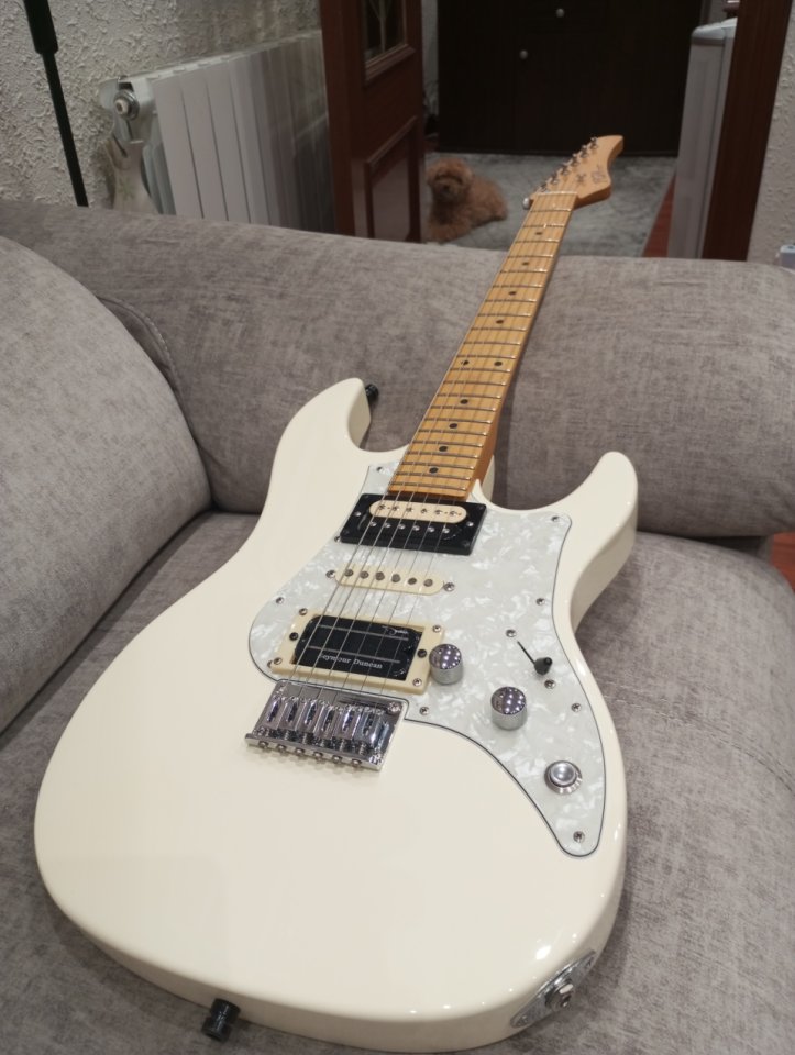 Fujigen odissey mejorada de segunda mano · Foto 5 de 5 · Bizkaia · 399 €