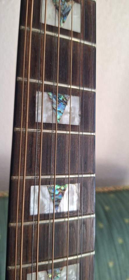Takamine EG523SC-12 cuerdas Korea