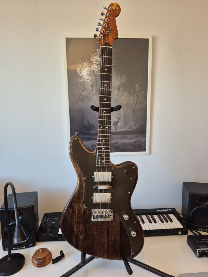 Guitarra eléctrica Elg de segunda mano · Foto 1 de 10 · Madrid · 375 €