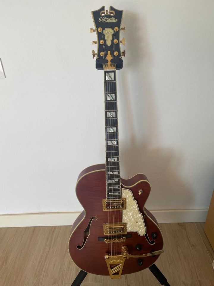 D’Angelico DeLuxe 175 LE,