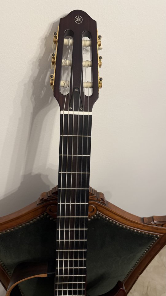 Yamaha Silent SLG 200 NW NT