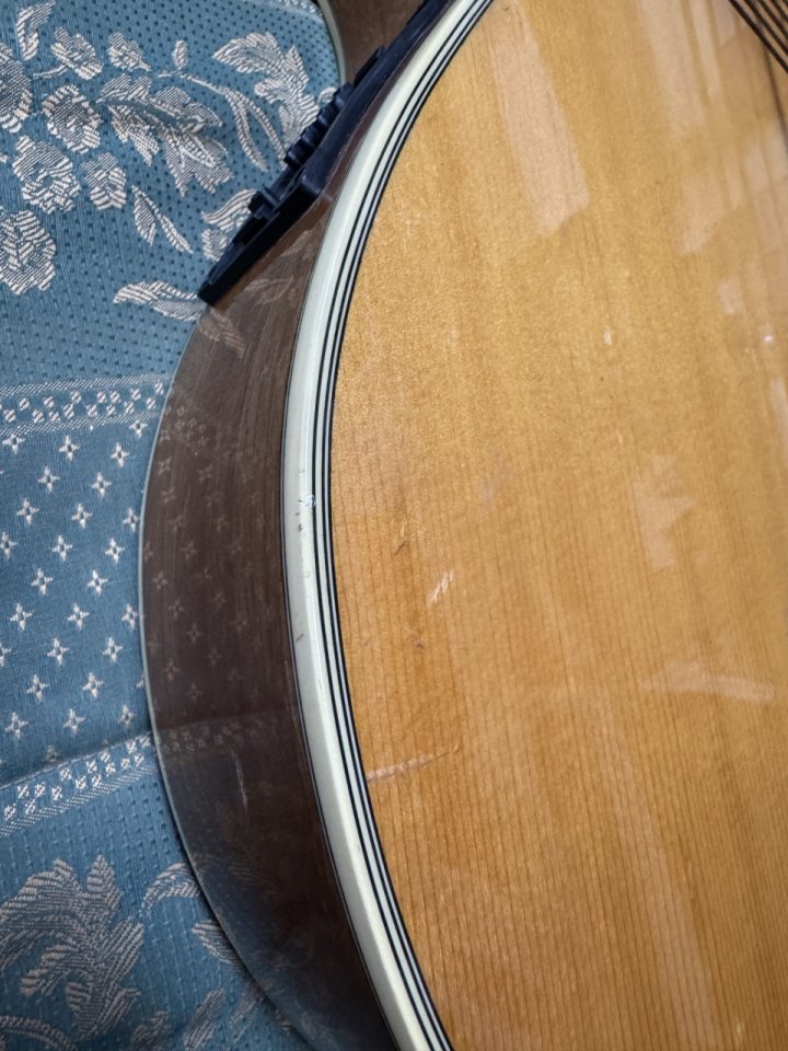 Washburn AB20 Bajo Acústico Fretless Electrificado