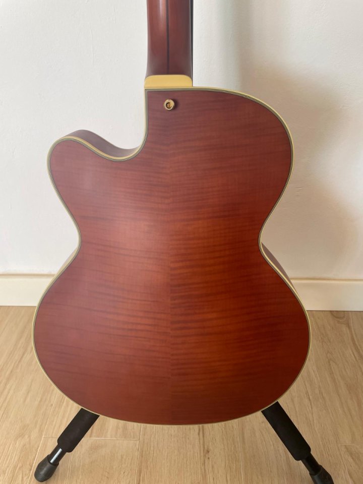 D’Angelico DeLuxe 175 LE,