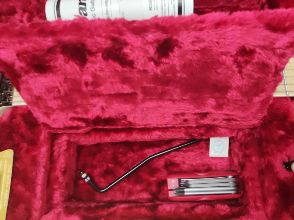 Ibanez RG 5120M - PRT ( Prestige ) 2022