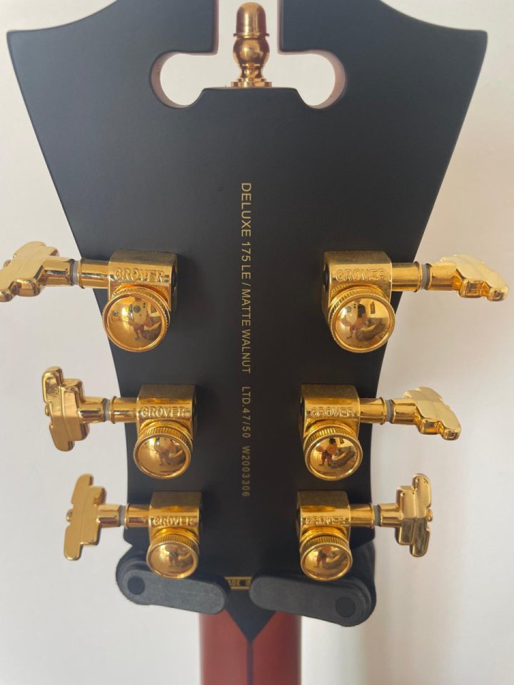 D’Angelico DeLuxe 175 LE,