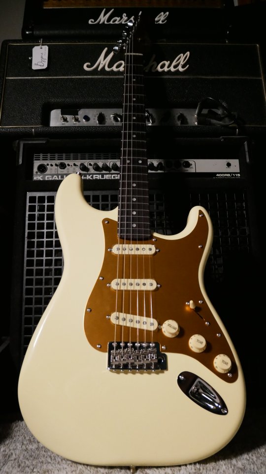 Bygone Spicy Ed. Especial brillo Full rosewood