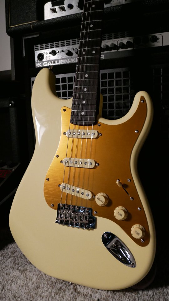 Bygone Spicy Ed. Especial brillo Full rosewood