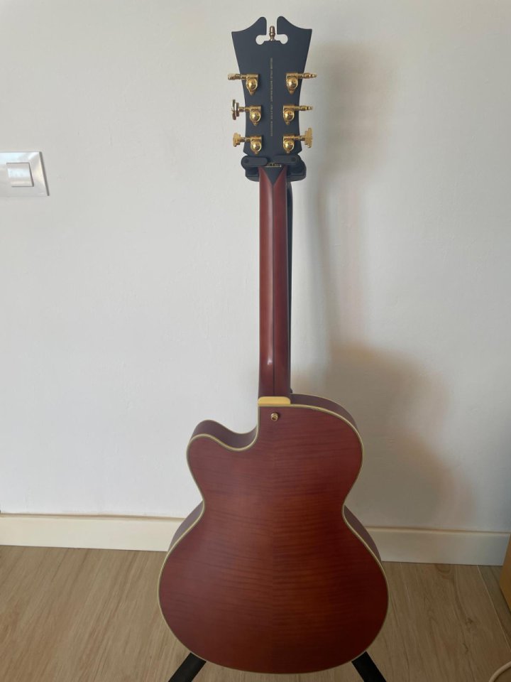 D’Angelico DeLuxe 175 LE,