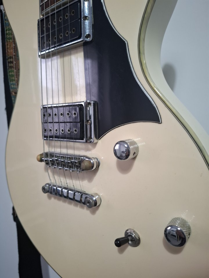 Ibanez DN500 con estuche Cibeles
