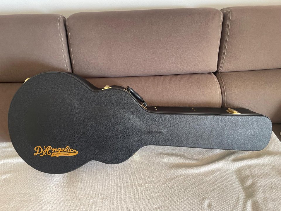 D’Angelico DeLuxe 175 LE,