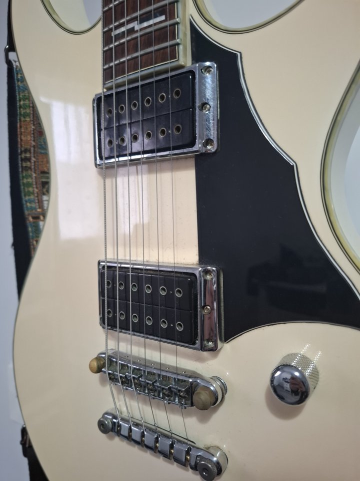 Ibanez DN500 con estuche Cibeles