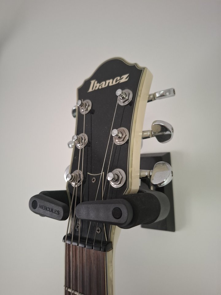 Ibanez DN500 con estuche Cibeles