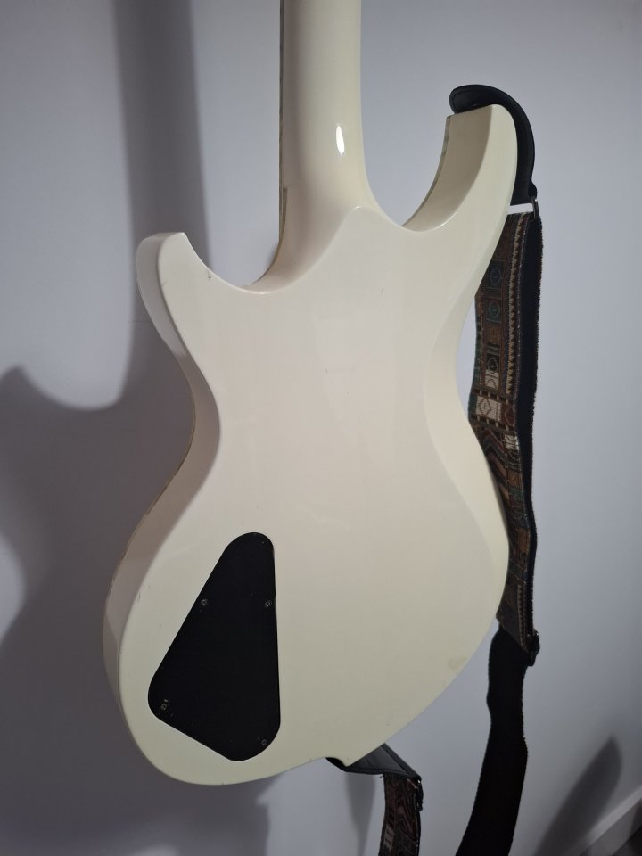 Ibanez DN500 con estuche Cibeles